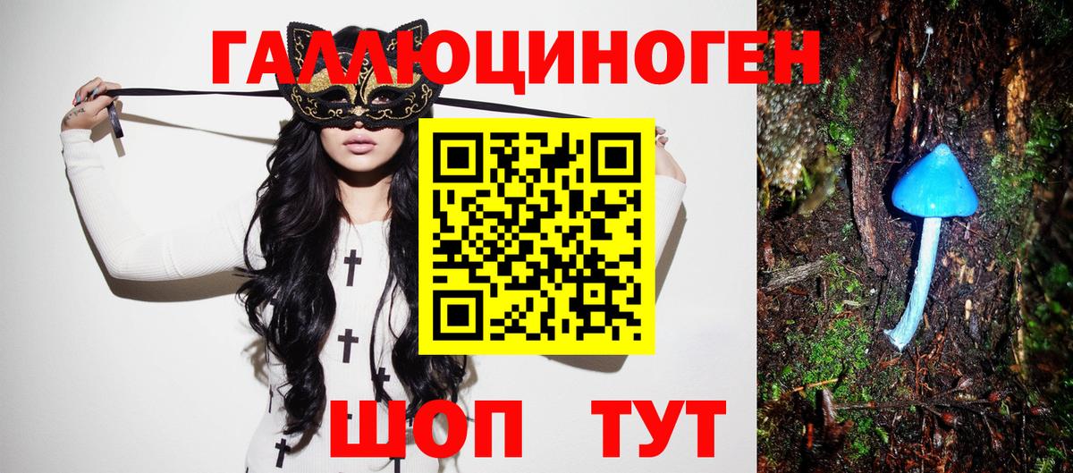 Галлюциногенные грибы прущие грибы Выборг