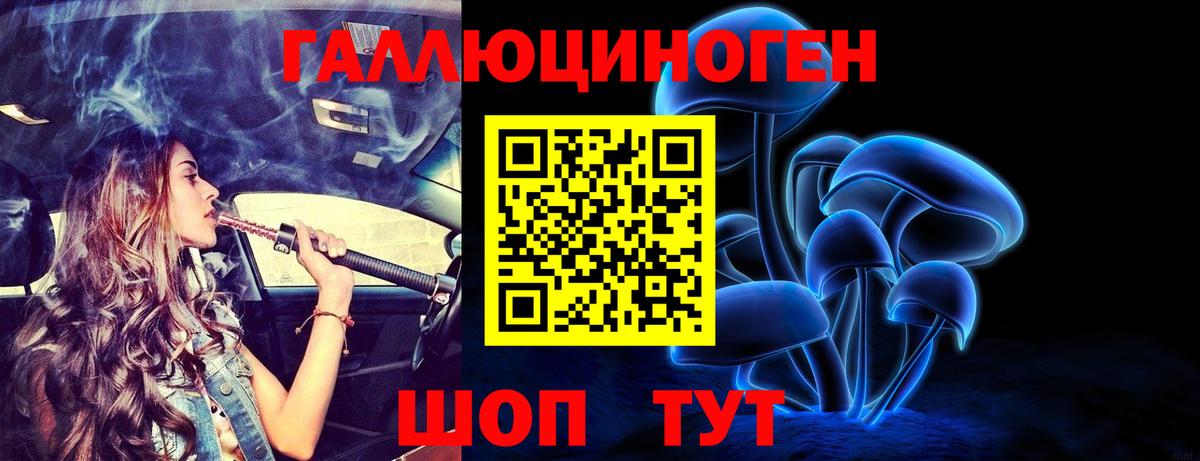 Выборг  Галлюциногенные грибы GOLDEN TEACHER  Вход с VPN 